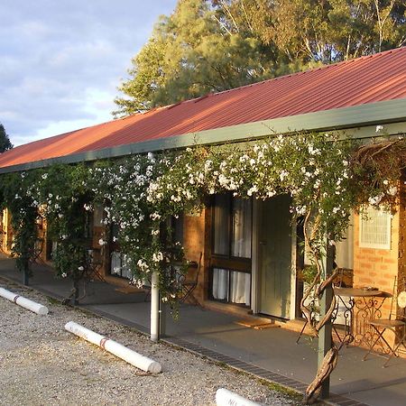 Jolly Swagman Motor Inn Holbrook Exterior foto